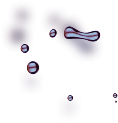 Oil Edge Revolution - Onthul de uitzonderlijke individuen die ons bekwame team vormen